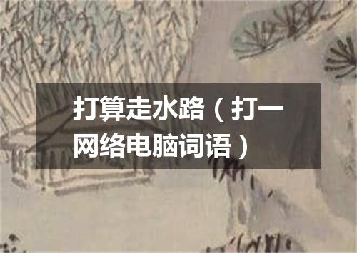 打算走水路（打一网络电脑词语）