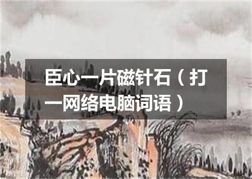 臣心一片磁针石（打一网络电脑词语）