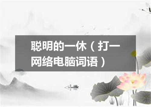 聪明的一休（打一网络电脑词语）