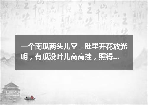 一个南瓜两头儿空，肚里开花放光明，有瓜没叶儿高高挂，照得面前一片红。（打一物）