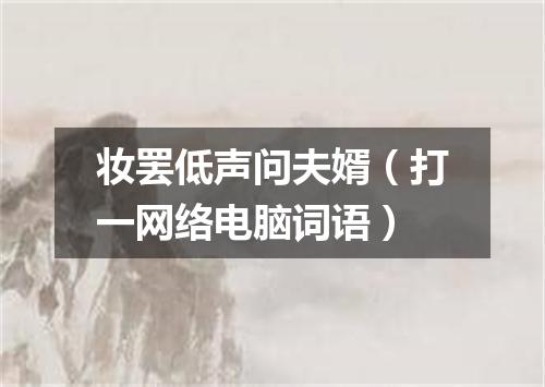 妆罢低声问夫婿（打一网络电脑词语）