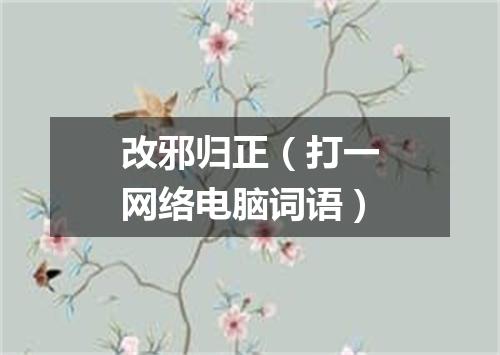 改邪归正（打一网络电脑词语）