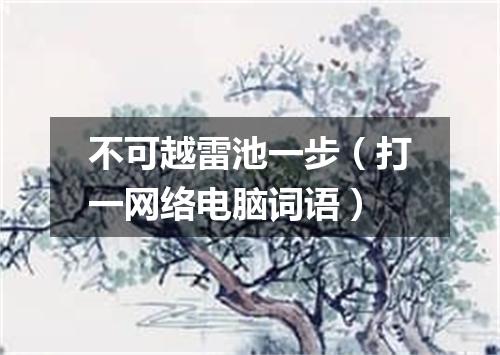 不可越雷池一步（打一网络电脑词语）