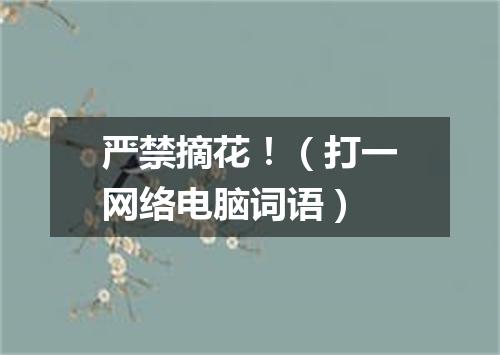 严禁摘花！（打一网络电脑词语）