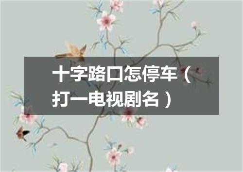 十字路口怎停车（打一电视剧名）