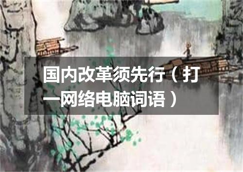国内改革须先行（打一网络电脑词语）