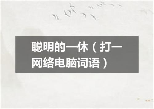 聪明的一休（打一网络电脑词语）