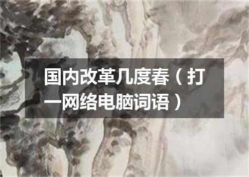 国内改革几度春（打一网络电脑词语）