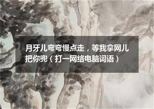 月牙儿弯弯慢点走，等我拿网儿把你兜（打一网络电脑词语）