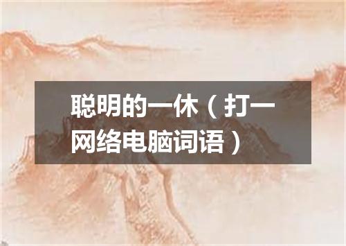 聪明的一休（打一网络电脑词语）
