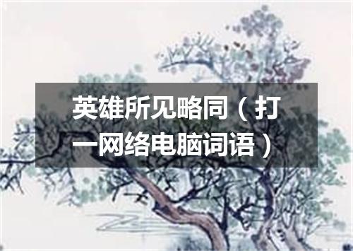 英雄所见略同（打一网络电脑词语）