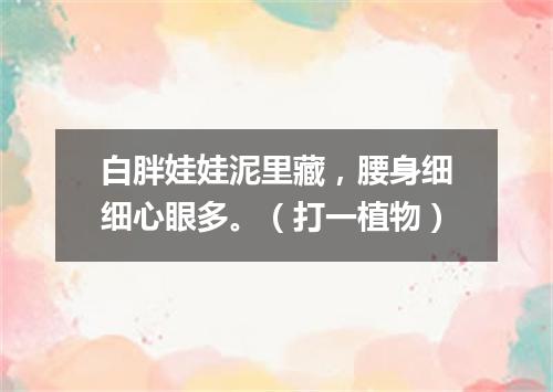 白胖娃娃泥里藏，腰身细细心眼多。（打一植物）