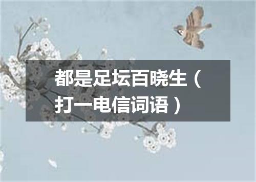 都是足坛百晓生（打一电信词语）