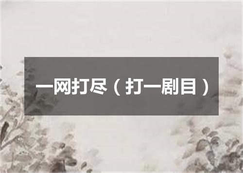一网打尽（打一剧目）