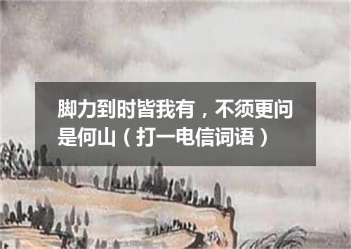 脚力到时皆我有，不须更问是何山（打一电信词语）