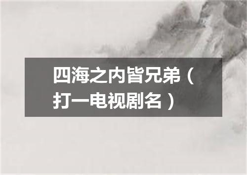 四海之内皆兄弟（打一电视剧名）