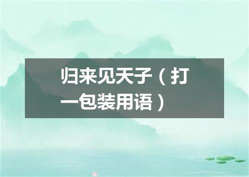 归来见天子（打一包装用语）