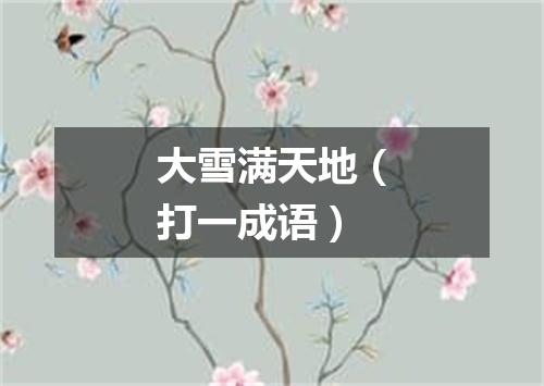 大雪满天地（打一成语）