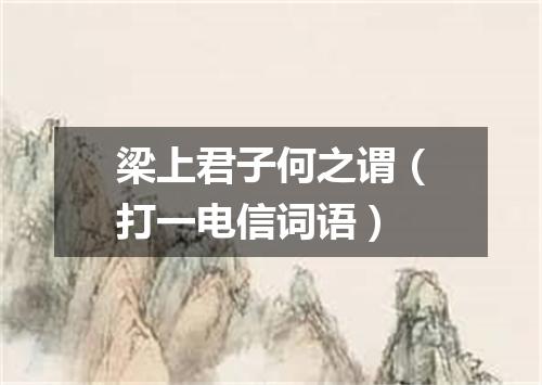 梁上君子何之谓（打一电信词语）
