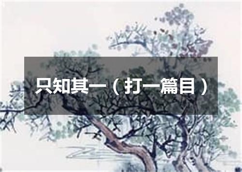 只知其一（打一篇目）