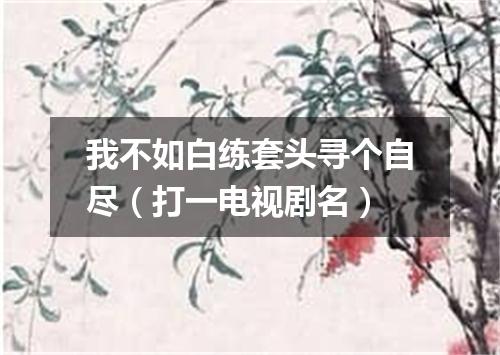 我不如白练套头寻个自尽（打一电视剧名）