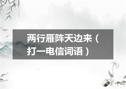 两行雁阵天边来（打一电信词语）