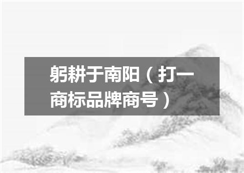 躬耕于南阳（打一商标品牌商号）