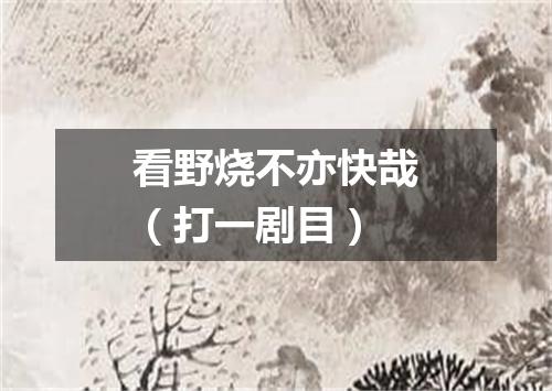 看野烧不亦快哉（打一剧目）