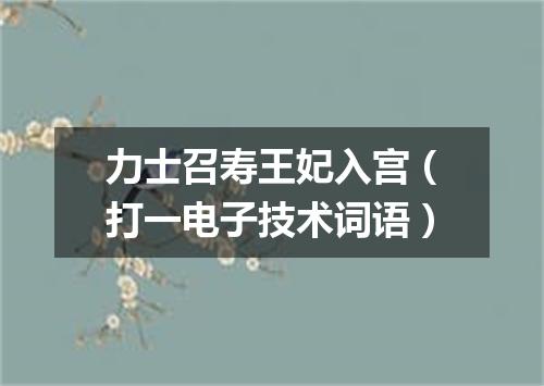 力士召寿王妃入宫（打一电子技术词语）
