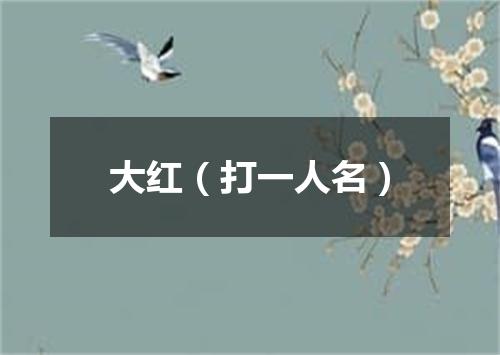 大红（打一人名）
