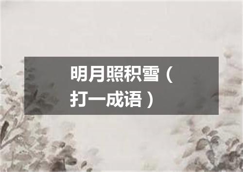明月照积雪（打一成语）