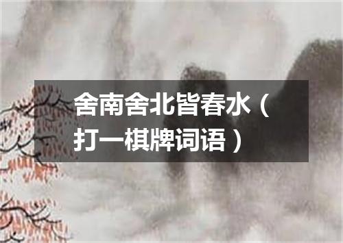 舍南舍北皆春水（打一棋牌词语）