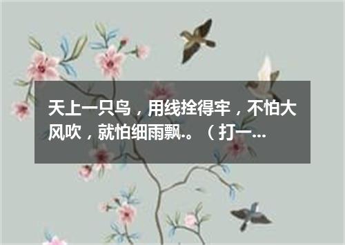 天上一只鸟，用线拴得牢，不怕大风吹，就怕细雨飘.。（打一玩具）