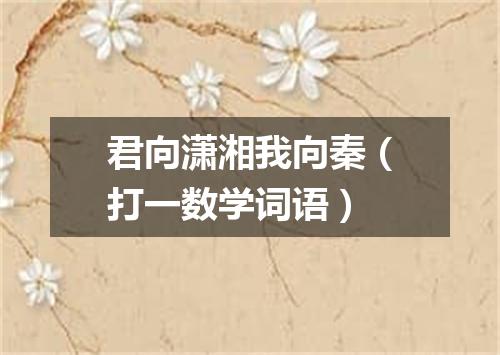 君向潇湘我向秦（打一数学词语）