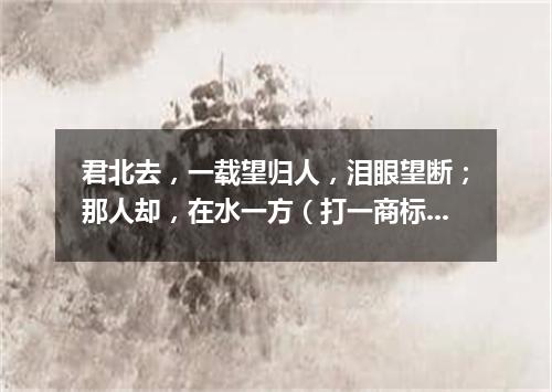 君北去，一载望归人，泪眼望断；那人却，在水一方（打一商标品牌商号）