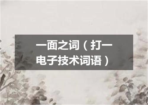 一面之词（打一电子技术词语）