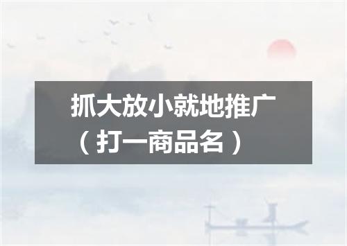 抓大放小就地推广（打一商品名）