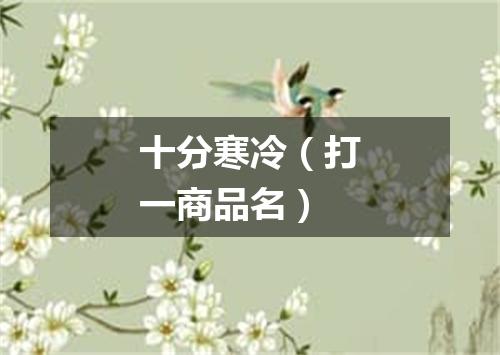 十分寒冷（打一商品名）