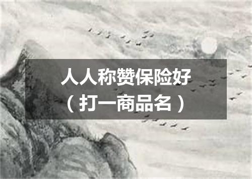 人人称赞保险好（打一商品名）