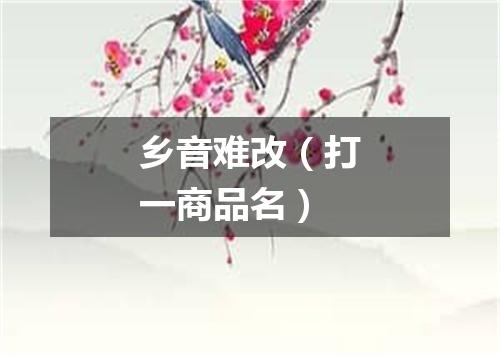 乡音难改（打一商品名）