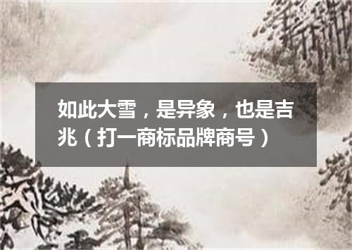 如此大雪，是异象，也是吉兆（打一商标品牌商号）