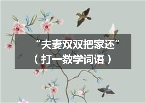 “夫妻双双把家还”（打一数学词语）