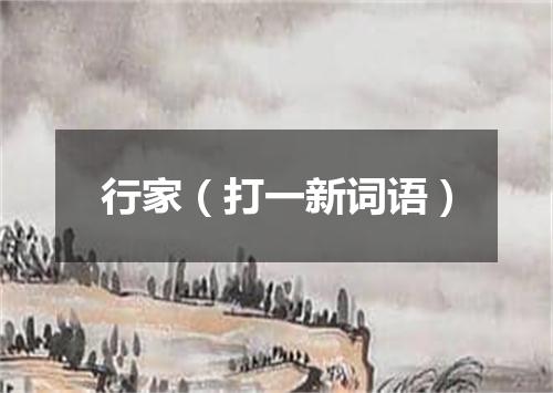 行家（打一新词语）