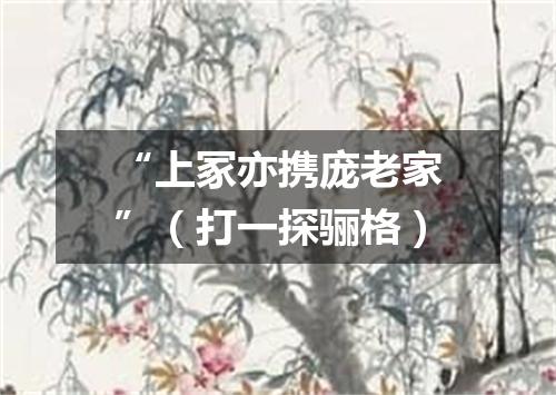 “上冢亦携庞老家”（打一探骊格）