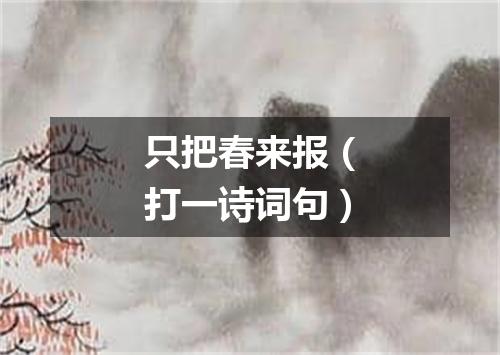 只把春来报（打一诗词句）