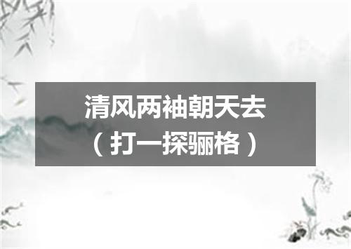 清风两袖朝天去（打一探骊格）