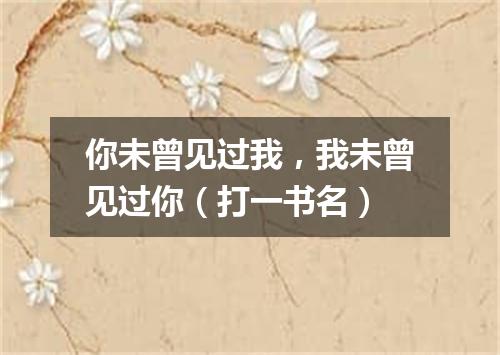 你未曾见过我，我未曾见过你（打一书名）
