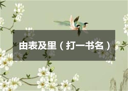 由表及里（打一书名）