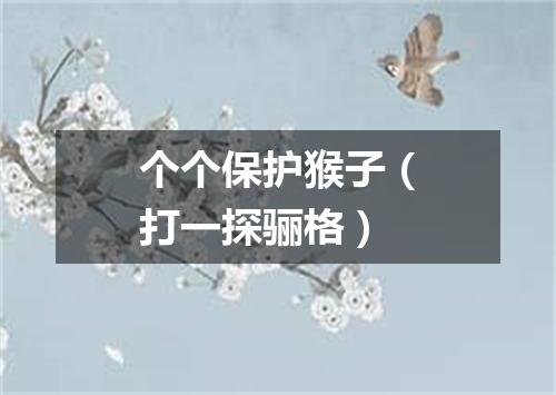 个个保护猴子（打一探骊格）