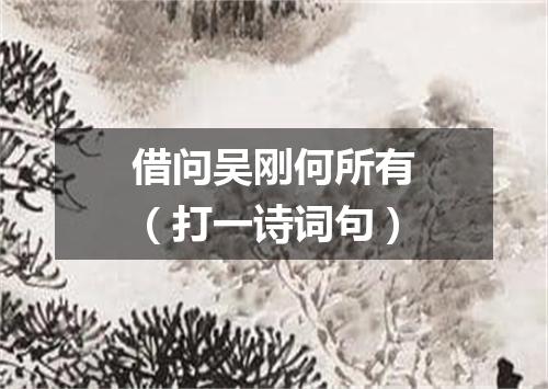 借问吴刚何所有（打一诗词句）